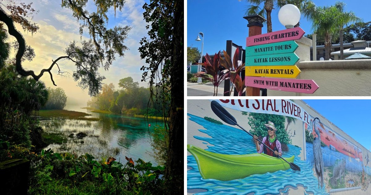 A misty spring run at sunrise, a Crystal River signpost for manatee tours and kayak rentals, and a Crystal River mural of a kayaker.